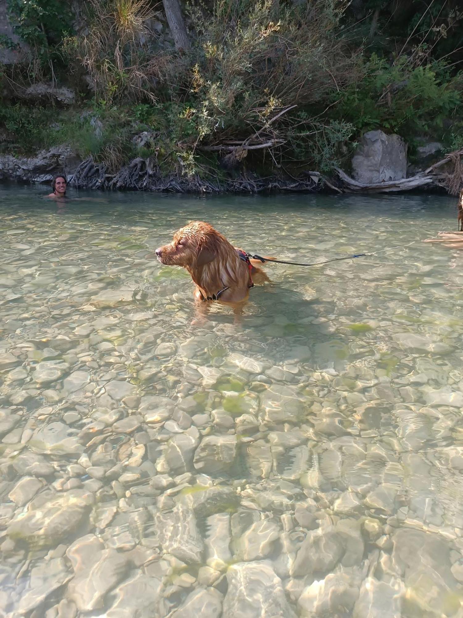 RossenaIl Nido Di Matilde _Monolocale Design Sul Fiume_公寓 外观 照片